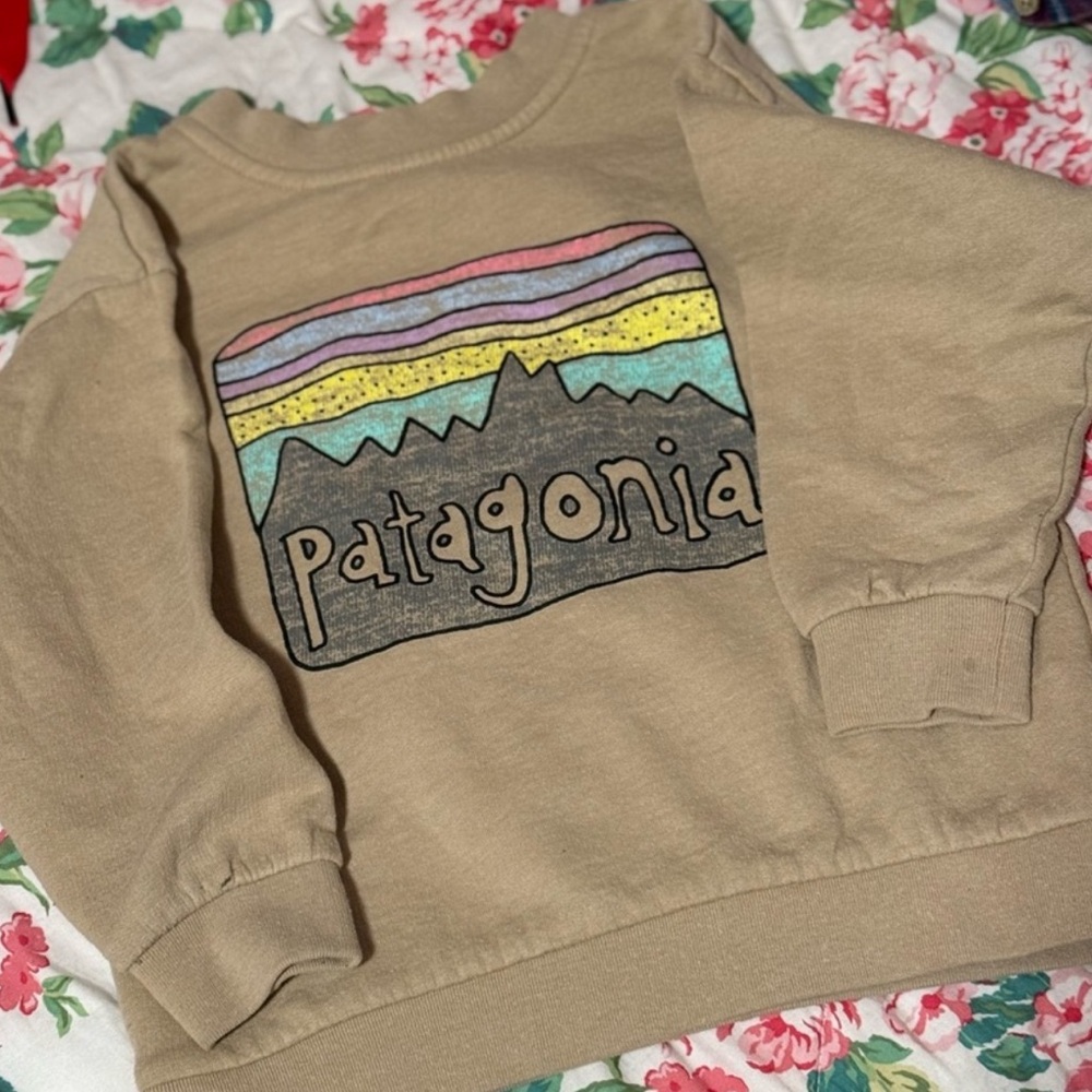 Patagonia Tan Fleece Pullover